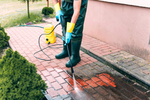 Best Driveway Pressure Washing  in Cedarburg, WI